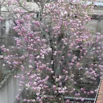 아파트 Downtown Urban Nest *