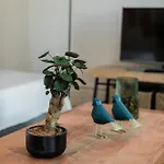 Downtown Urban Nest 아파트 포르투