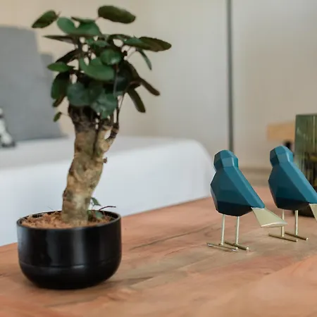 Downtown Urban Nest 포르투