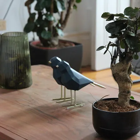 Downtown Urban Nest Apartment Porto