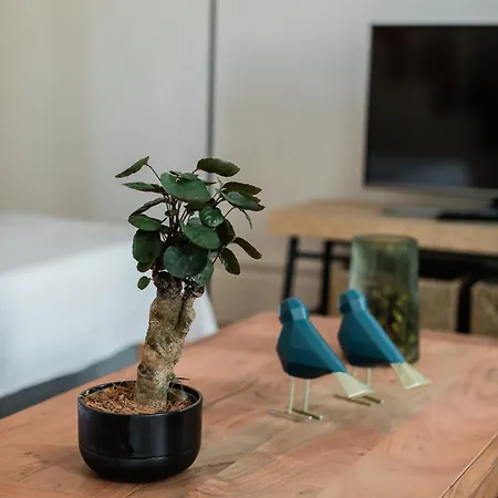 Downtown Urban Nest شقة بورتو