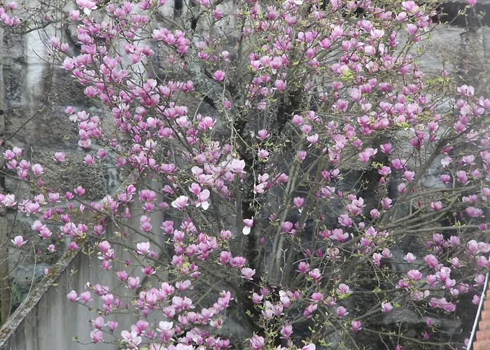 Апартаменты Downtown Urban Nest *