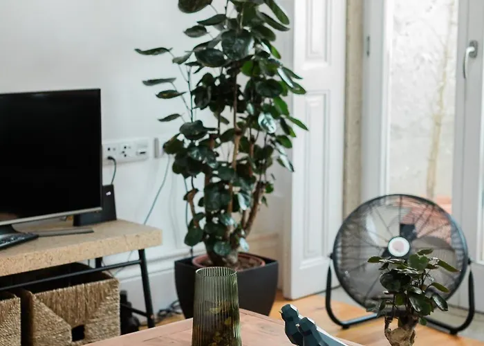 דירה Downtown Urban Nest פורטו